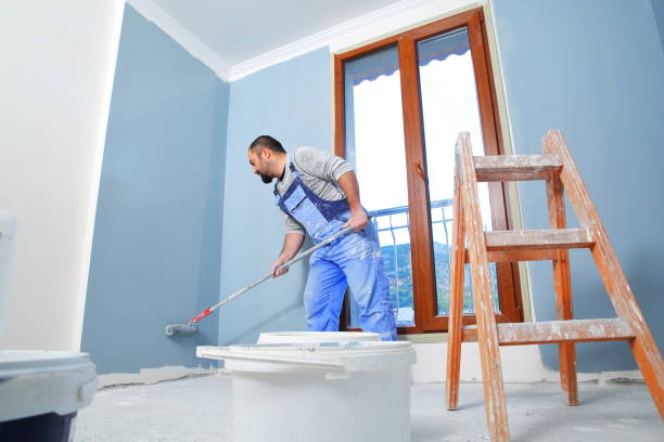 Best Drywall Removal and Disposal  in Park Falls, WI